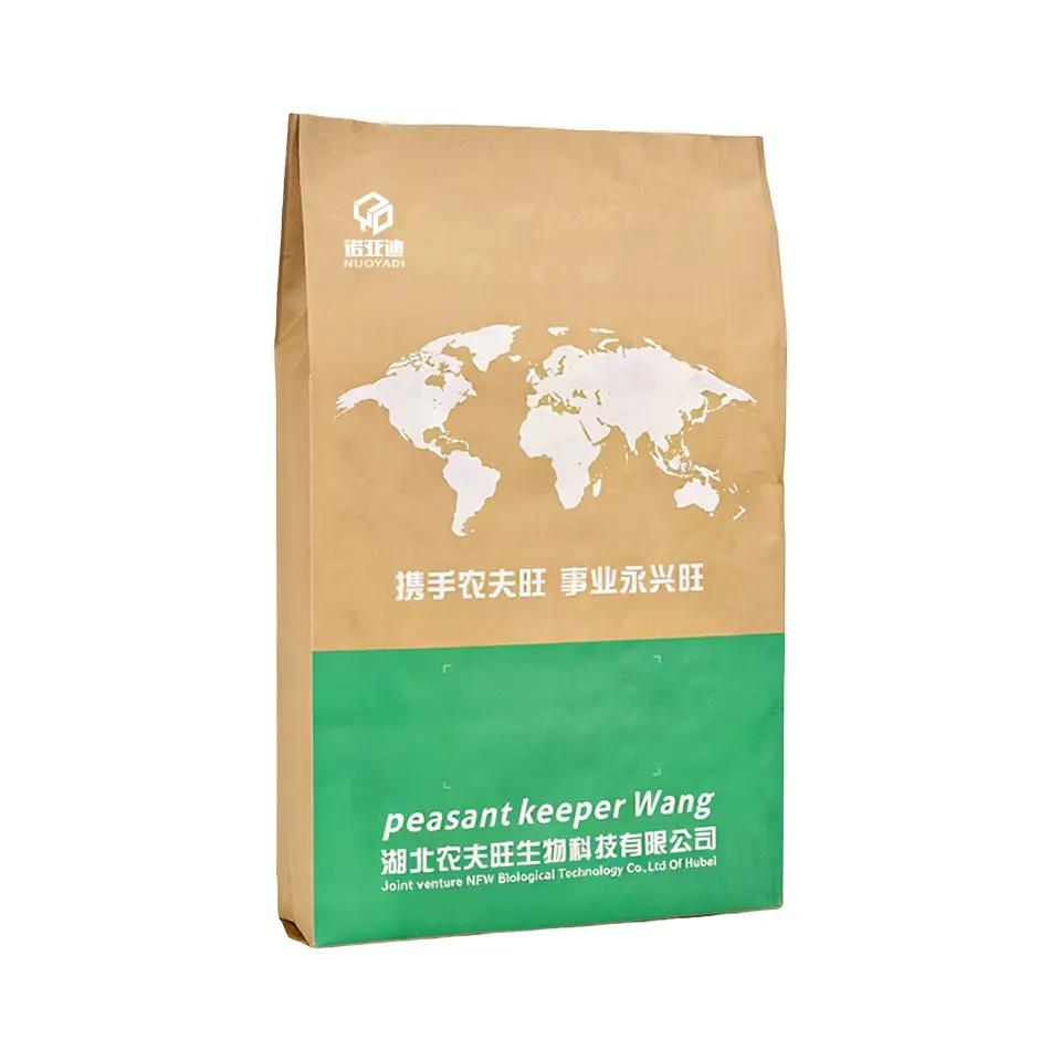 Kraft Paper Bag
